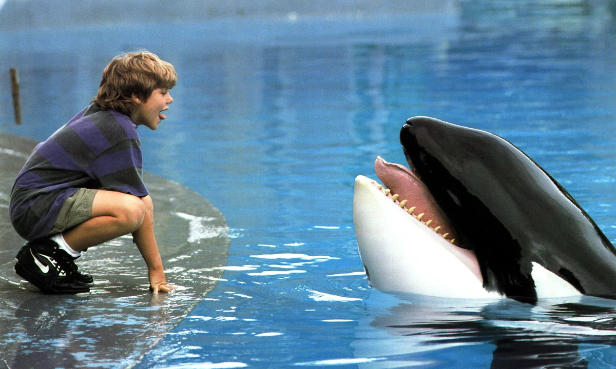 Free Willy